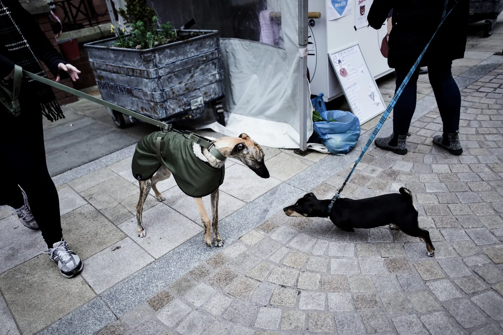 Photograph from the series Altrincham, image 23.