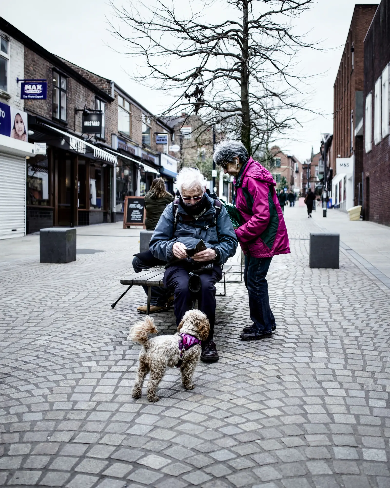 Photograph from the series Altrincham, image 27.